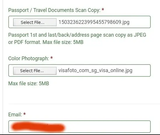 Singapore visum billede ansøgning skærm