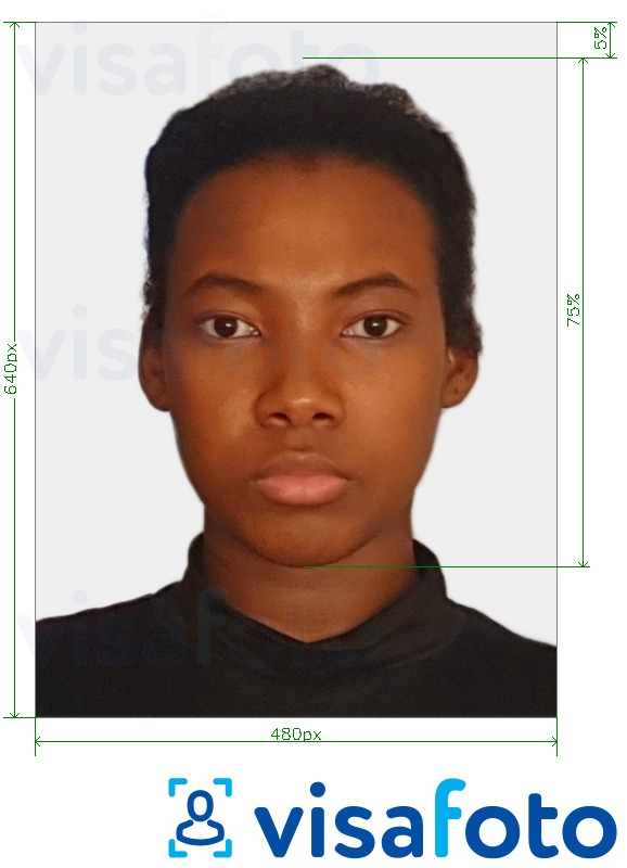Eksempel på billede for Bahamas pas 480x640 pixels med præcis størrelsesspecifikation.