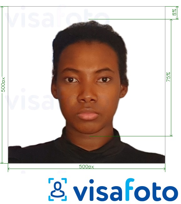 Eksempel på billede for Kamerun visum online 500x500 px med præcis størrelsesspecifikation.