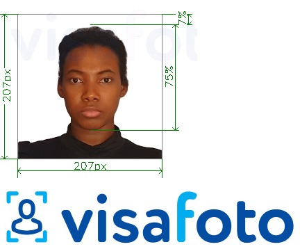 Eksempel på billede for Kenya-visum 207x207 pixel med præcis størrelsesspecifikation.