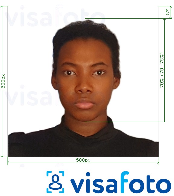 Eksempel på billede for Kenya e-visa online 500x500 pixels med præcis størrelsesspecifikation.