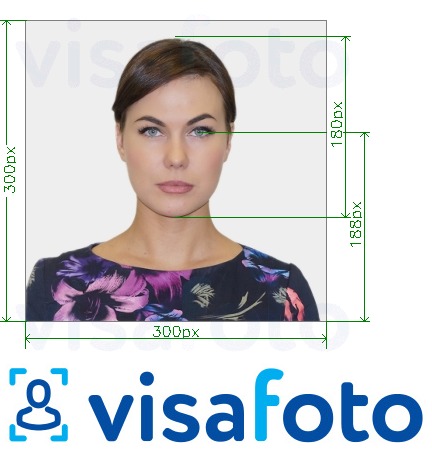 Eksempel på billede for Sydøsters ID-kort online 300x300 px med præcis størrelsesspecifikation.